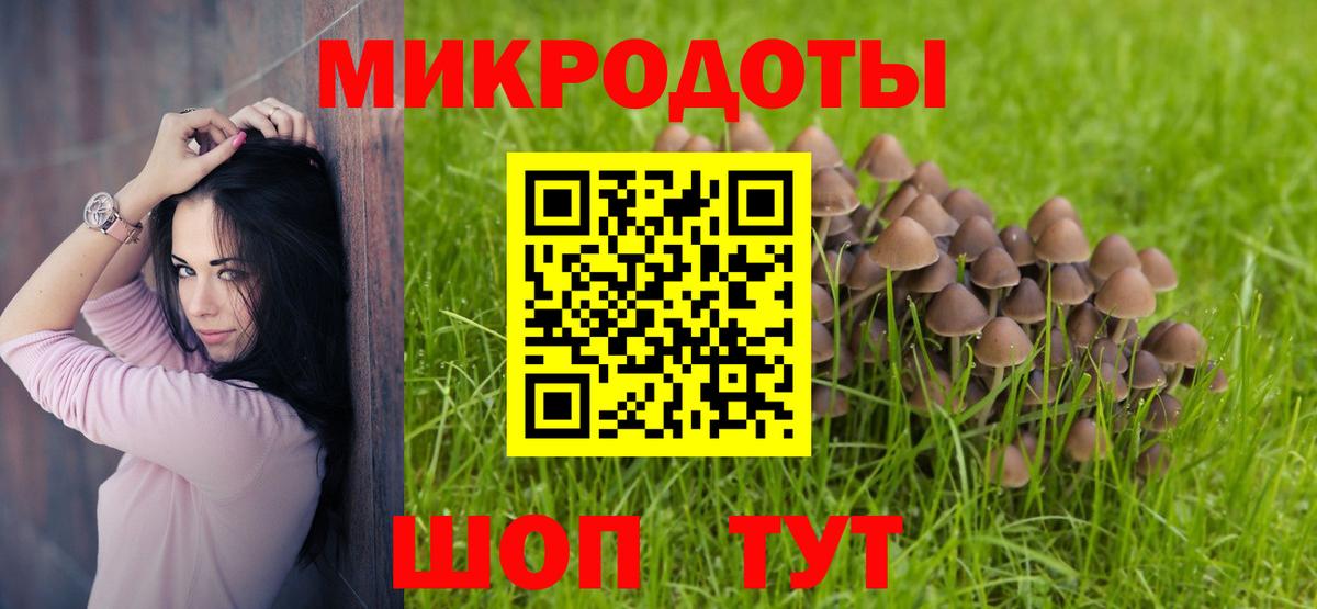 Псилоцибиновые грибы GOLDEN TEACHER Нововоронеж
