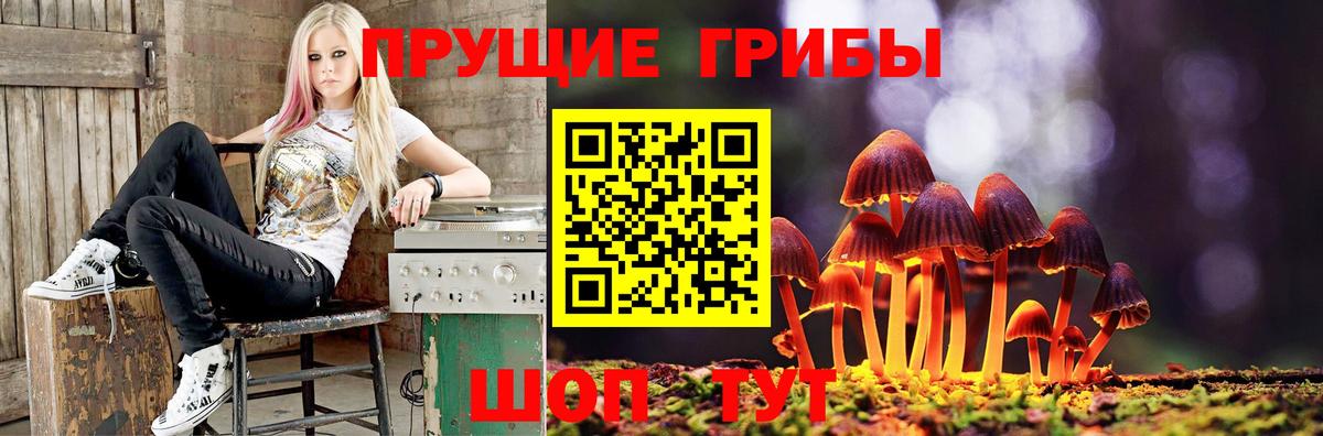 Псилоцибиновые грибы GOLDEN TEACHER  Вход с VPN  Нововоронеж  Псилоцибиновые грибы Psilocybe 